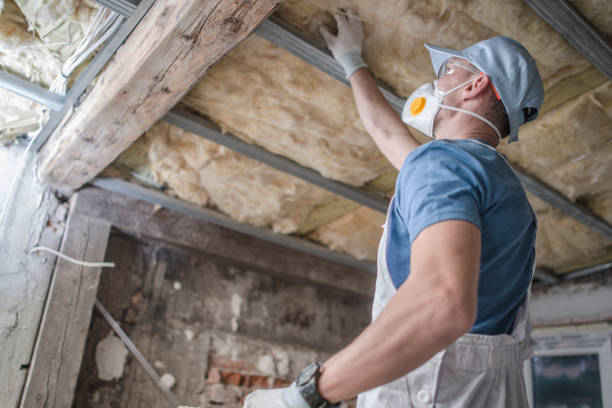 Best Affordable Insulation Services  in Utica, NE