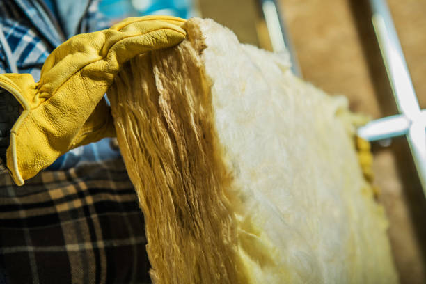 Best Insulation Removal  in Utica, NE