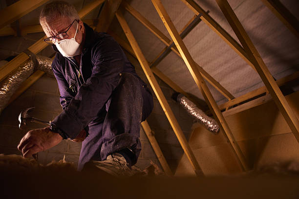 Best Spray Foam Insulation  in Utica, NE