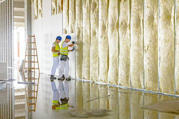 Best Insulation Contractors for Homes  in Utica, NE